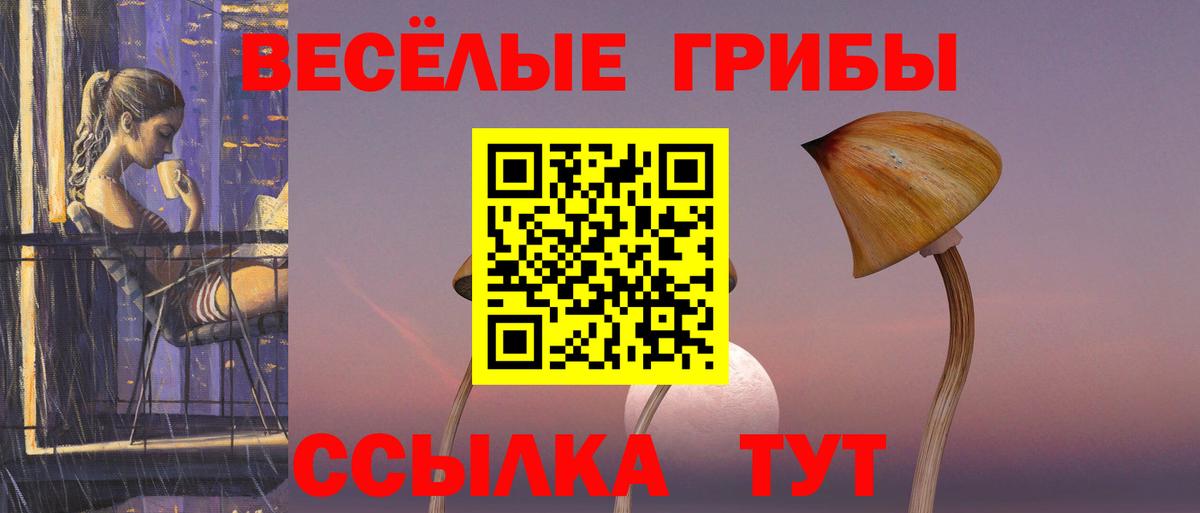 Псилоцибиновые грибы Psilocybine cubensis  Галлюциногенные грибы GOLDEN TEACHER  Димитровград  Вход с VPN 